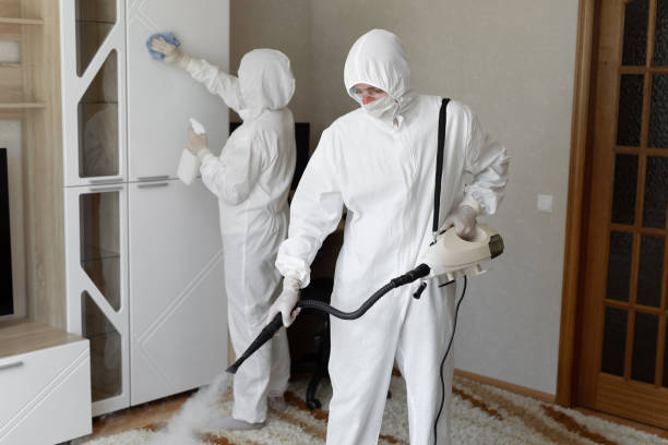 24/7 Emergency Odor Removal experts in Norwell, MA